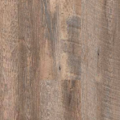 Timeless Plank